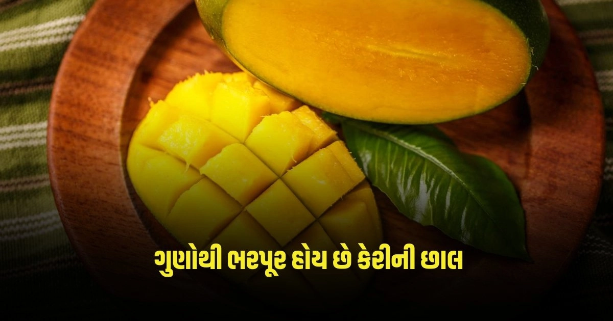 Benefits of Mango Peel: ઘણા પોષક તત્વોથી સમૃદ્ધ છે કેરી, સ્વાસ્થ્ય ગુણોથી ભરપૂર હોય છે કેરીની છાલ, જાણો https://www.pravinews.com/business/share-market-769-times-bet-on-ipo-share-price-rs-50-3026