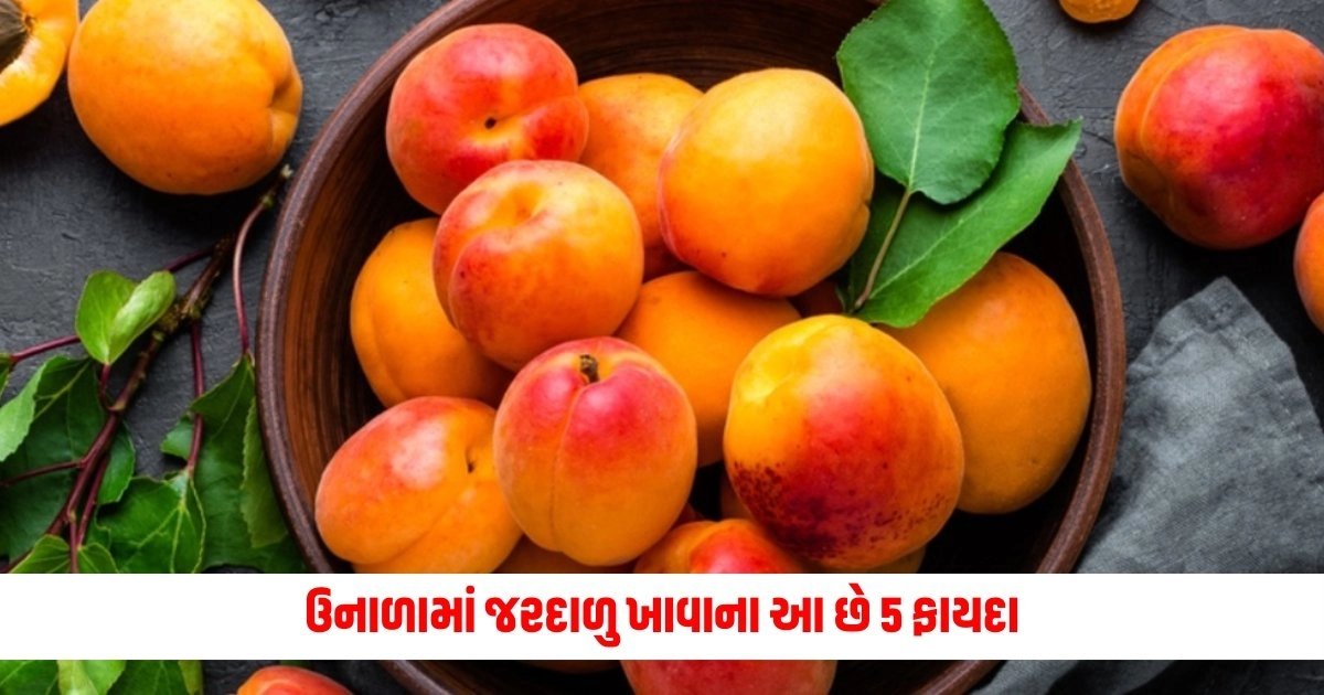 Benefits of Peaches: હૃદયથી પાચન સુધી, ઉનાળામાં જરદાળુ ખાવાના આ છે 5 ફાયદા https://www.pravinews.com/lifestyle/health-fitness/almond-oil-benefits-almond-oil-is-rich-in-health-benefits-know-the-benefits-5618