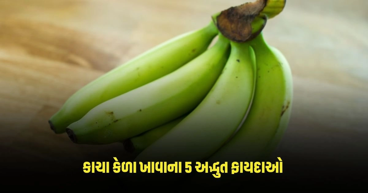 Benefits of Raw Banana: એક-બે નહીં, કાચા કેળા ખાવાથી મળે છે આ 5 અદ્ભુત ફાયદા, જાણીને તમે પણ બોલી જશો 'વાહ' https://www.pravinews.com/lifestyle/health-fitness/chia-seeds-consuming-chia-seeds-for-weight-loss-then-know-the-truth-behind-it-3700