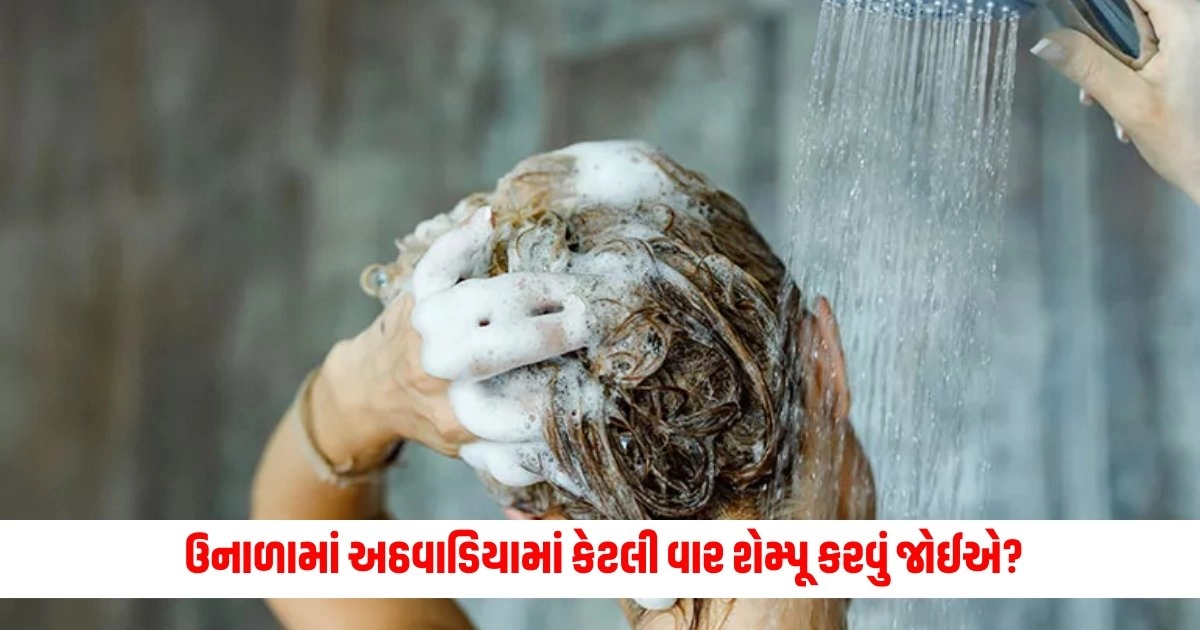 Hair Wash In Week: ઉનાળામાં અઠવાડિયામાં કેટલી વાર શેમ્પૂ કરવું જોઈએ? દરરોજ વાળ ધોવાથી થઈ શકે છે આ સમસ્યા https://www.pravinews.com/international-news/earthquake-in-indonesia-earthquake-due-to-earthquake-in-indonesia-atmosphere-of-fear-among-people-5586