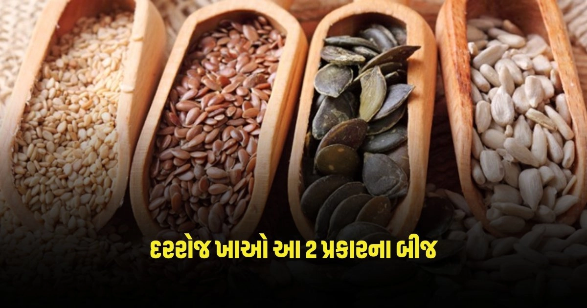 Health Tips : શરીરમાં કેલ્શિયમની ઉણપ વધી રહી છે તો દરરોજ ખાઓ આ 2 પ્રકારના બીજ https://www.pravinews.com/lifestyle/health-fitness/health-tips-%e0%aa%ae%e0%aa%be%e0%aa%a4%e0%ab%8d%e0%aa%b0-%e0%aa%b8%e0%ab%82%e0%aa%b0%e0%ab%8d%e0%aa%af%e0%aa%a8%e0%aa%be-%e0%aa%95%e0%aa%bf%e0%aa%b0%e0%aa%a3%e0%ab%8b-%e0%aa%9c-%e0%aa%a8%e0%aa%b9-3034