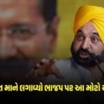 Lok Sabha Elections 2024: ગુજરાતમાં પંજાબના સીએમ ભગવંત માને લગાવ્યો ભાજપ પર આ મોટો આરોપ https://www.pravinews.com/elections/lok-sabha-election-2024/page/3