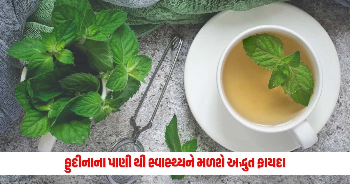 Mint Water Benefits: ઉનાળામાં રોજ પીવો ફુદીનાનું પાણી, સ્વાસ્થ્યને મળશે અદ્ભુત ફાયદા https://www.pravinews.com/sports/team-india-yuvraj-singhs-claim-this-player-will-be-ready-for-team-india-in-6-months-5316