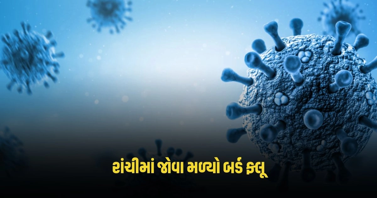 Bird Flu: રાંચીમાં જોવા મળ્યો બર્ડ ફ્લૂ, આટલા પક્ષીઓના થયા મોત https://www.pravinews.com/business/credit-card-transaction-online-credit-card-spend-sets-a-new-record-4610