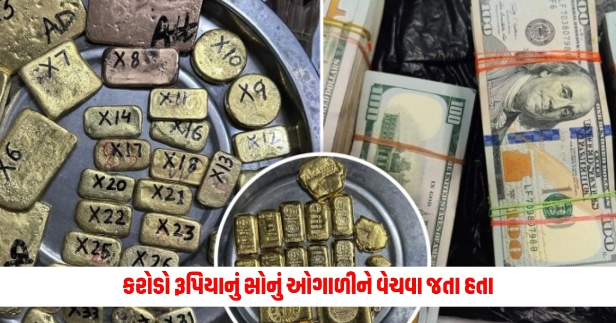 Mumbai News: કરોડો રૂપિયાનું સોનું ઓગાળીને વેચવા જતા હતા, DRIએ કરી ધરપકડ https://www.pravinews.com/international-news/pm-modi-america-needs-a-leader-like-modi-jp-morgan-ceo-praises-modi-4788