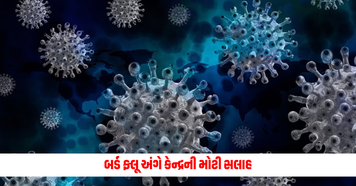Bird Flu: બર્ડ ફ્લૂ અંગે કેન્દ્રની મોટી સલાહ, આ ખોરાક સ્વાસ્થ્ય માટે છે હાનિકારક https://www.pravinews.com/international-news