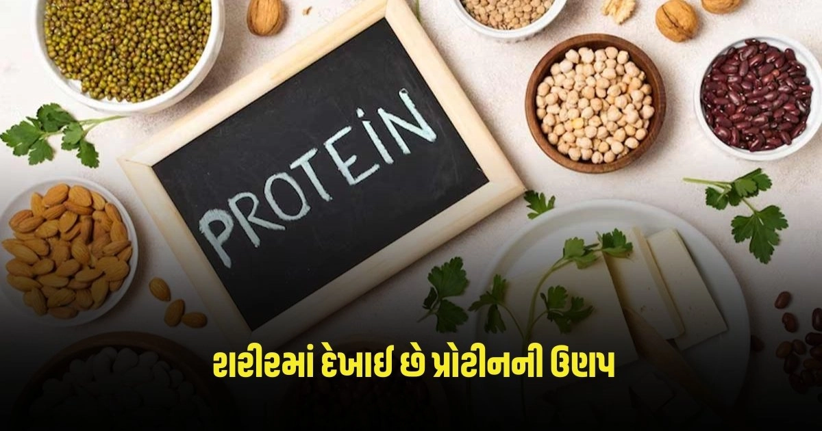 Protein: શરીરમાં દેખાઈ રહ્યા છે આ લક્ષણો, તો થઇ શકે છે પ્રોટીનની ઉણપ https://www.pravinews.com/business/petrol-diesel-price-changes-in-petrol-and-diesel-prices-know-the-new-prices-3004