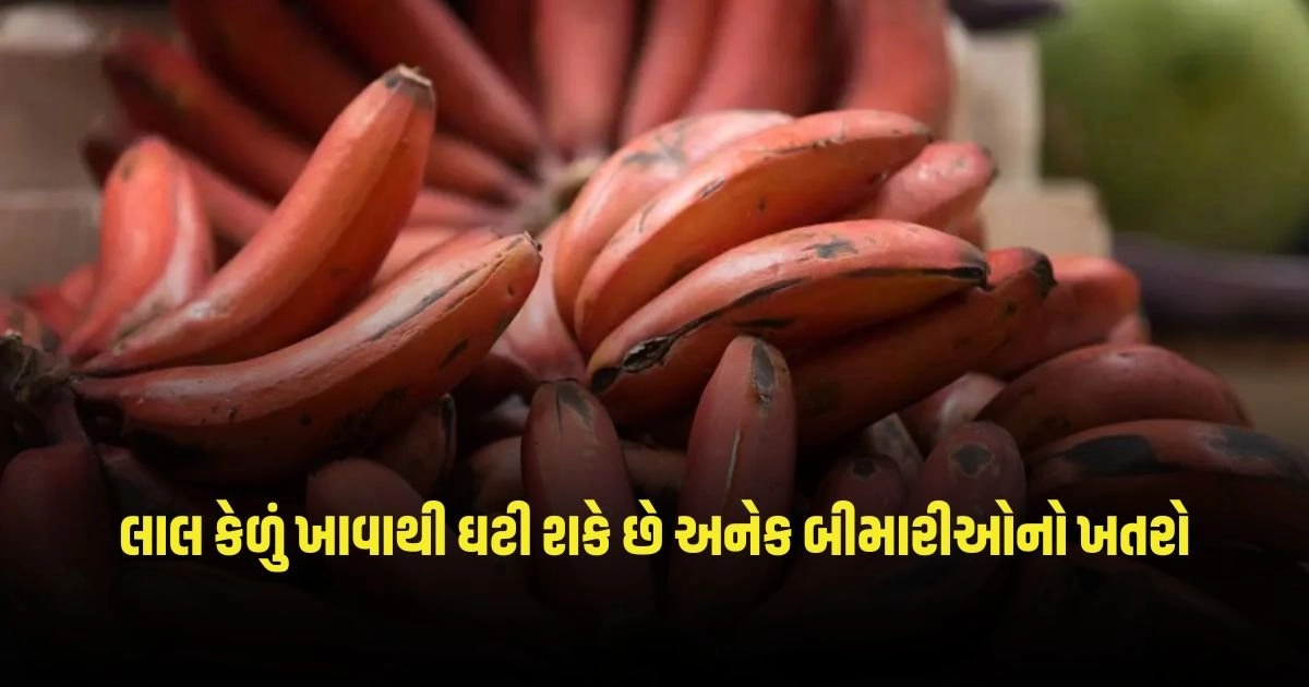 Red Banana Benefits: લાલ કેળું ખાવાથી ઘટાડી શકાય છે અનેક બીમારીઓનો ખતરો, જાણો ફાયદા https://www.pravinews.com/lifestyle/health-tips-drink-this-water-every-morning-to-lose-weight-in-summer-you-will-get-benefits-3279