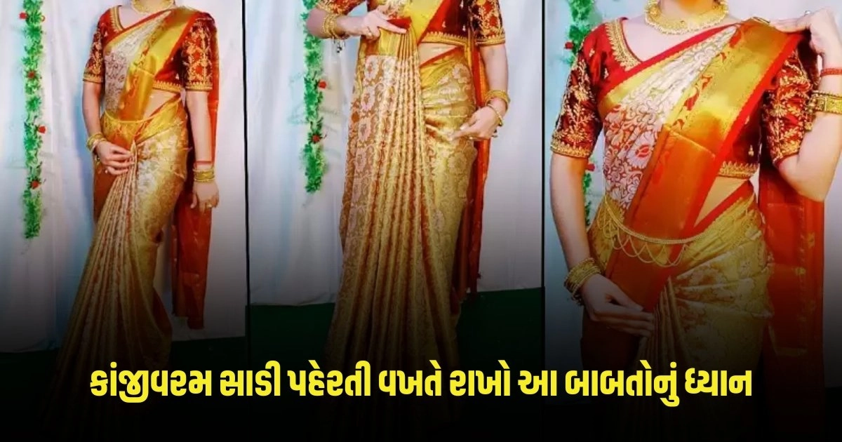Styling Tips: કાંજીવરમ સાડી પહેરતી વખતે રાખો આ બાબતોનું ધ્યાન https://www.pravinews.com/lifestyle/fashion-news/page/2