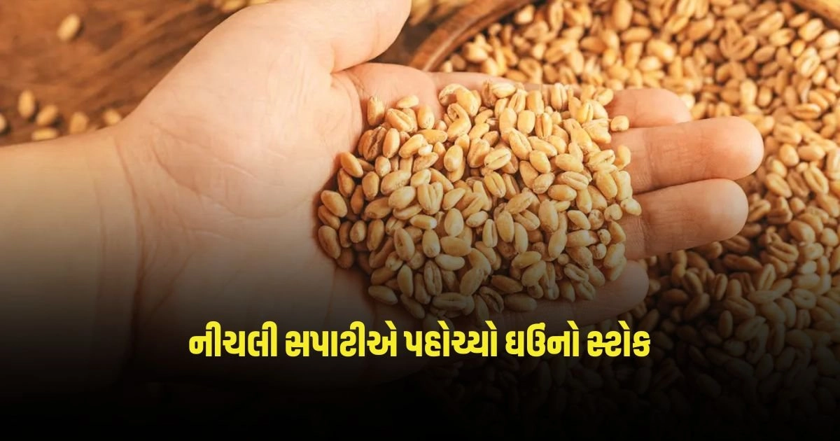 Wheat Stocks: આટલા વર્ષોની નીચલી સપાટીએ પહોચ્યો ઘઉંનો સ્ટોક, અધિકારીએ જણાવ્યું ઘટાડાનું કારણ https://www.pravinews.com/religion/astrology/vastu-tips-hang-this-comic-potli-on-the-main-door-of-the-house-obstacles-in-marriage-will-be-removed-3226