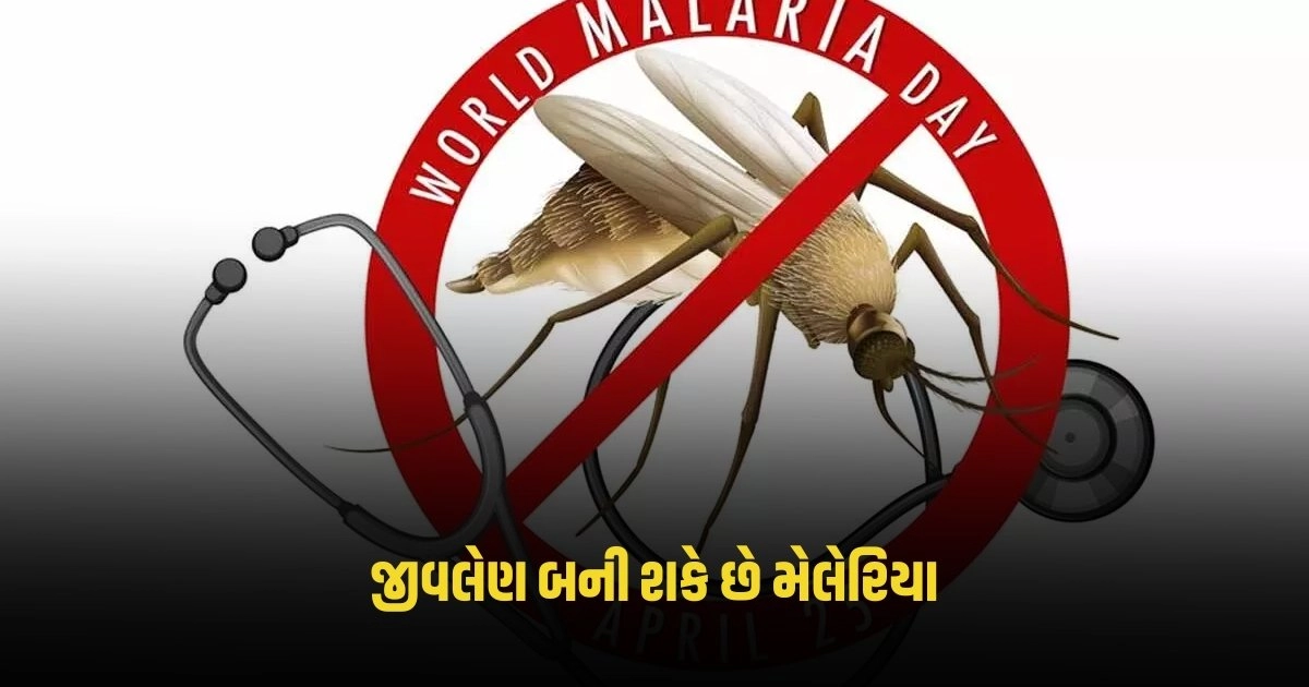 World Malaria Day 2024: જીવલેણ બની શકે છે મેલેરિયા, ફેલાવાને રોકવા માટે અપનાવો આ પદ્ધતિઓ https://www.pravinews.com/international-news/bird-flu-bird-flu-was-found-in-ranchi-so-many-birds-died-4606