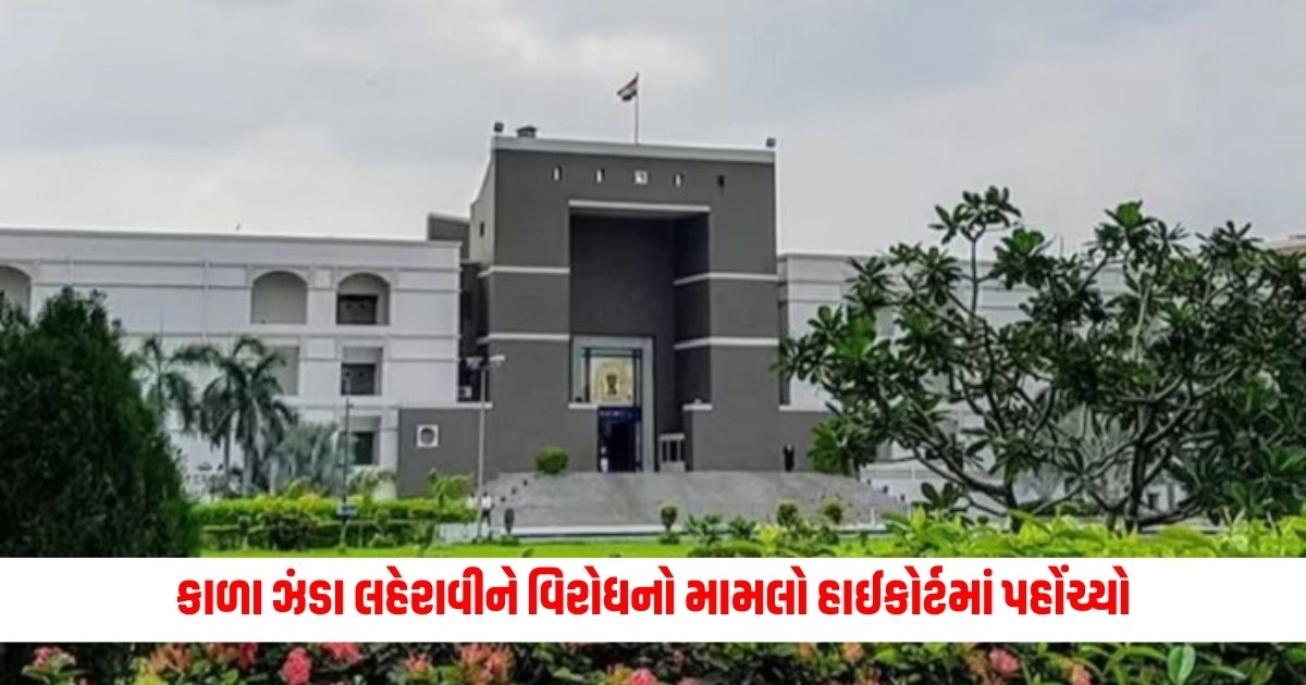 gujarat high court : કાળા ઝંડા લહેરાવીને વિરોધ કરવા પર પ્રતિબંધનો મામલો હાઈકોર્ટમાં પહોંચ્યો, કોર્ટે આપ્યો આ આદેશ https://www.pravinews.com/lifestyle/fashion-news/fashion-tips-wear-a-suit-like-aman-sharif-in-nikah-look-beautiful-5358