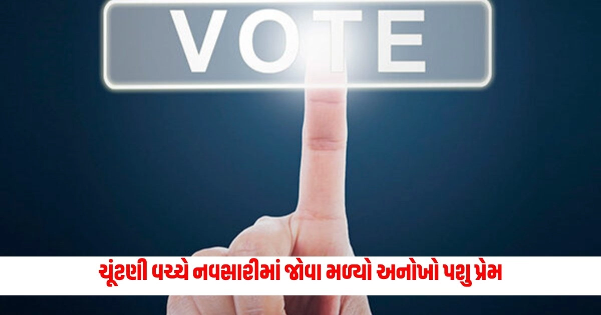 Lokshabha Elections 2024: લોકસભા ચૂંટણી વચ્ચે નવસારીમાં જોવા મળ્યો અનોખો પશુ પ્રેમ https://www.pravinews.com/elections/lok-sabha-election-2024/loksabha-election-2024-election-process-completed-in-peaceful-atmosphere-chief-electoral-officer-p-bharti-7293