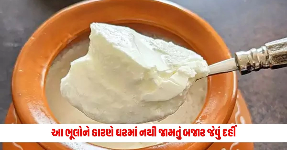 Mistakes While Making Curd : આ ભૂલોને કારણે ઘરમાં નથી જામતું બજાર જેવું દહીં, જાણો સાચી રીત https://www.pravinews.com/international-news/israel-hamas-war-israeli-army-captures-gaza-border-with-egypt-10071