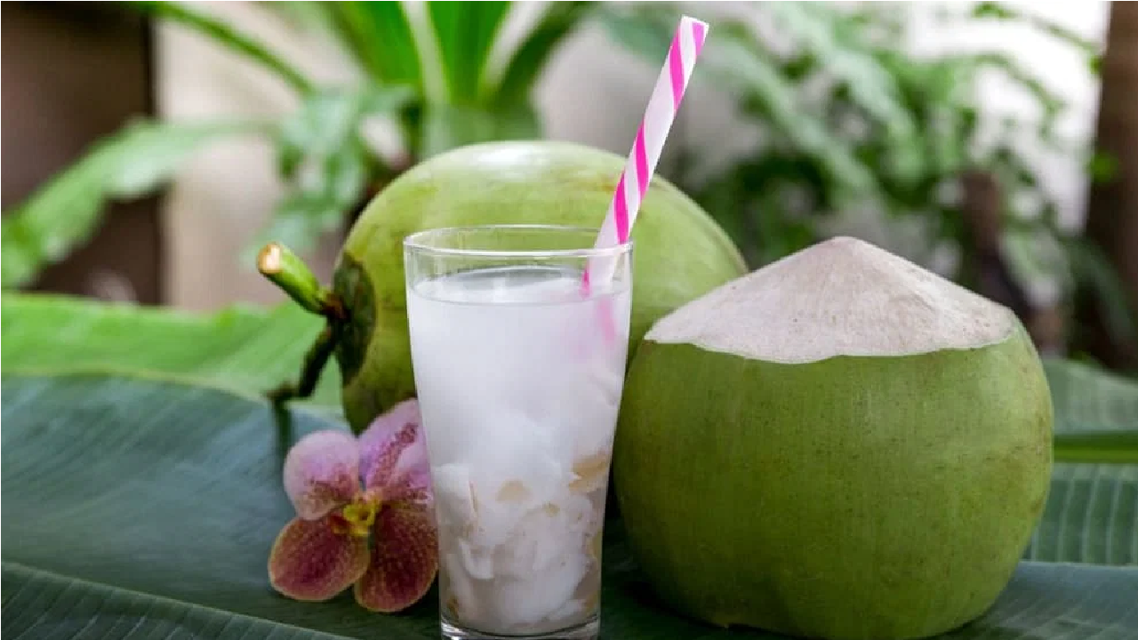 Coconut Water Side Effects: નારિયેળ પાણી આ લોકોને કરી શકે છે સમસ્યાઓ, જાણો કોણે તેનાથી બચવું જોઈએ https://www.pravinews.com/lifestyle/health-fitness/coconut-water-side-effects-these-people-should-avoid-drinking-coconut-water-nariyal-pani-na-nuksan-9952