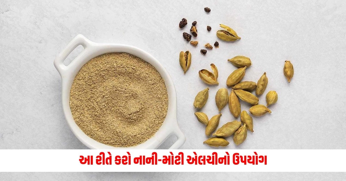 Cooking with Cardamom: રસોઈ બનાવતી વખતે આ રીતે કરો નાની-મોટી એલચીનો ઉપયોગ, બધા લોકો કરશે તમારી રેસિપી ફોલો https://www.pravinews.com/food