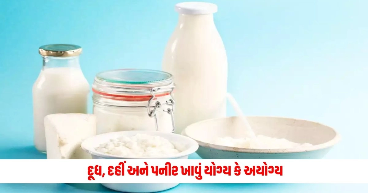 Dairy Free Diet: દૂધ, દહીં અને પનીર ખાવું યોગ્ય કે અયોગ્ય, જાણો તેને આહારમાંથી દૂર કરવાથી શું થશે અસરો https://www.pravinews.com/gujarat-news/gseb-ssc-result-2024-gujarat-board-class-10th-result-released-check-your-result-from-here-7687