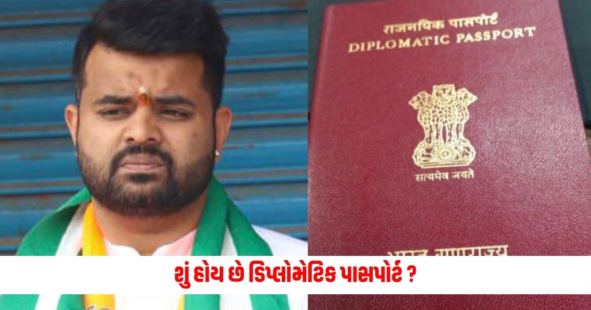 Diplomatic Passport : શું હોય છે ડિપ્લોમેટિક પાસપોર્ટ ? જેનો ફાયદો ઉપાડી નાસી ગયો આરોપી પ્રજ્વલ રેવન્ના https://www.pravinews.com/world-news-in-gujarati/jammu-kashmir-lok-sabha-elections-date-and-results-pakistan-plans-fresh-terror-attack-7797