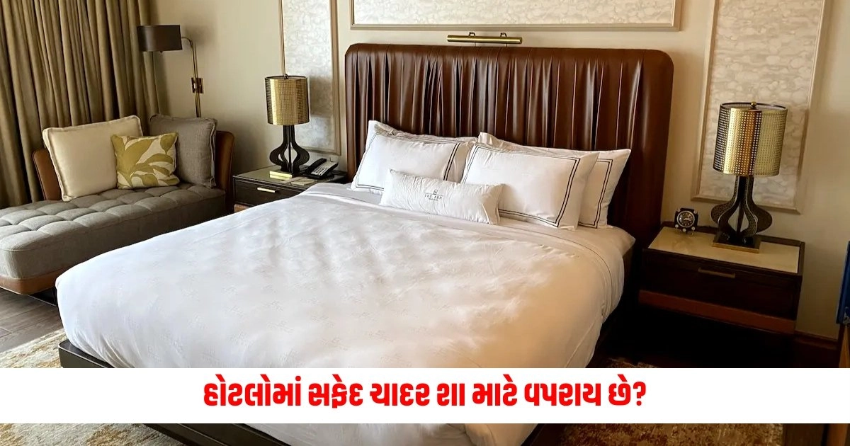 White Sheets in Hotels: સરળતાથી થઈ જાય છે ગંદી, પરંતુ હોટલોમાં સફેદ ચાદર શા માટે વપરાય છે? https://www.pravinews.com/world-news-in-gujarati/sandeshkhali-case-shahjahan-troubles-increased-in-sandeshkhali-case-cbi-filed-chargesheet-against-sheikh-and-six-others-9833