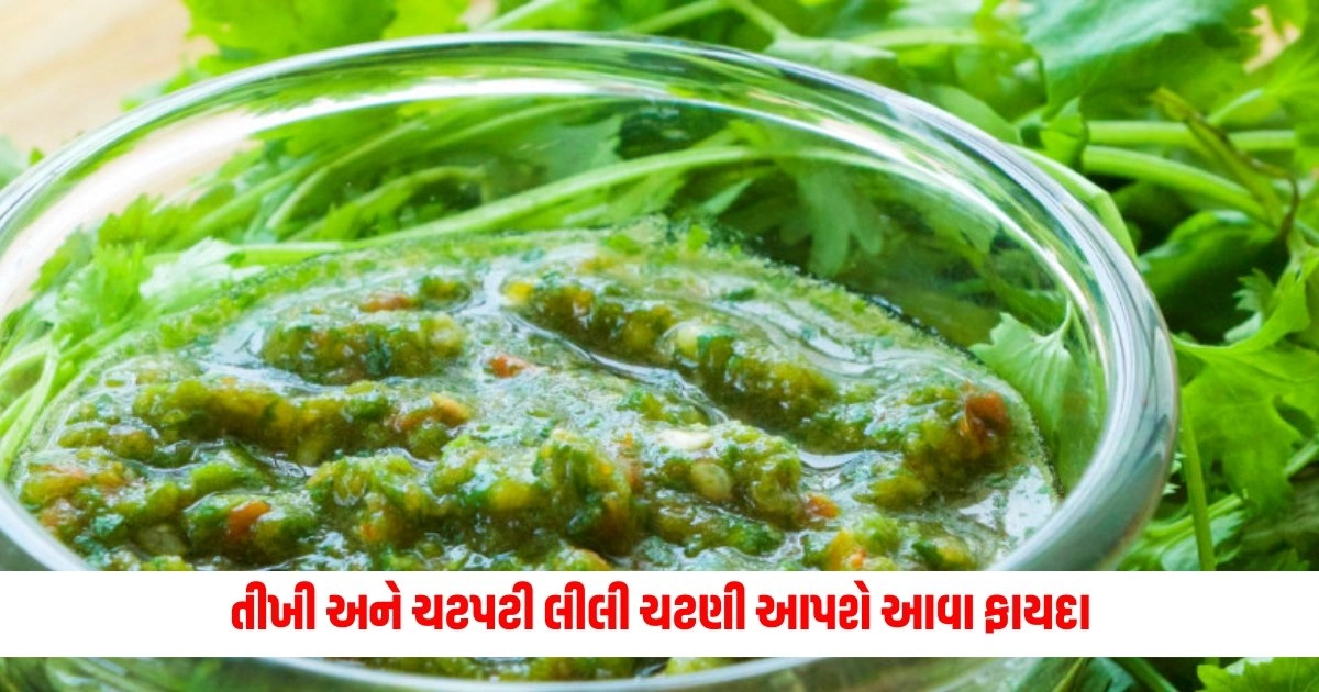 Green chutney Benefits and Recipe: તીખી અને ચટપટી લીલી ચટણી સ્વાદની સાથે આપશે આવા ફાયદા, બસ બનાવો 5 મિનિટમાં https://www.pravinews.com/international-news/foreign-ministry-the-ministry-of-external-affairs-rejected-the-report-calling-the-allegation-baseless-6336