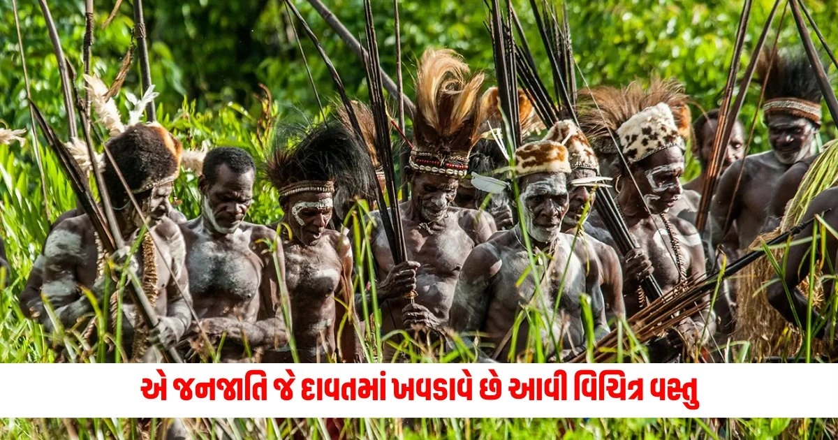 Head Hunting Tribes : એ જનજાતિ જે દાવતમાં ખવડાવે છે આવી વિચિત્ર વસ્તુ, તેને પકાવે છે માણસોની ખોપડીમાં https://www.pravinews.com/entertainment/arjun-kapoor-splits-with-yrf-talent-management-company-7953