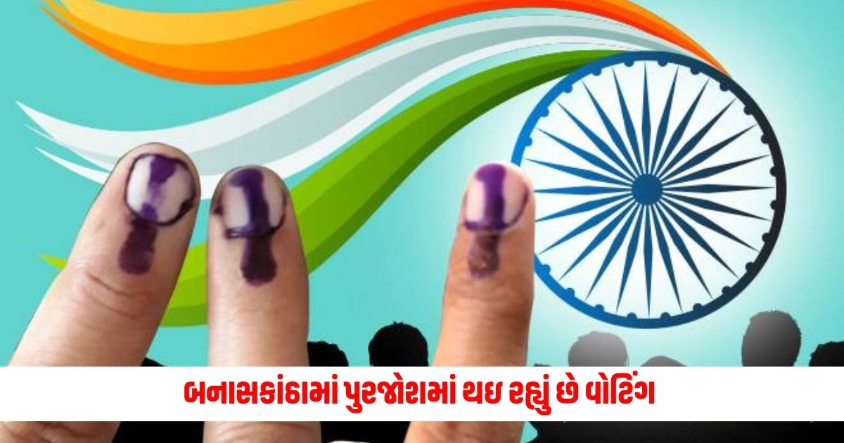 Lok Sabha Election : બનાસકાંઠામાં પુરજોશમાં થઇ રહ્યું છે વોટિંગ કોણ પડશે ભારે ગેનીબેન કે પછી રેખાબેન https://www.pravinews.com/gujarat-news/loksabha-election-2024-unique-voting-held-in-junagadh-sidi-people-arrive-in-traditional-attire-to-vote-6980