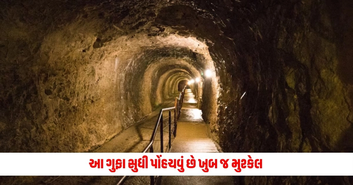 Mysterious Cave : ગુફા સુધી પહોંચવું ખૂબ જ મુશ્કેલ હતું,વૈજ્ઞાનિકો અંદર પહોંચ્યા તો આ નજારો જોઈને તેમના પગ નીચેથી જમીન સરકી ગઈ https://www.pravinews.com/entertainment/box-office-collection-as-ruslan-prepares-to-say-goodbye-to-box-office-bmcm-medans-condition-is-even-worse-6358