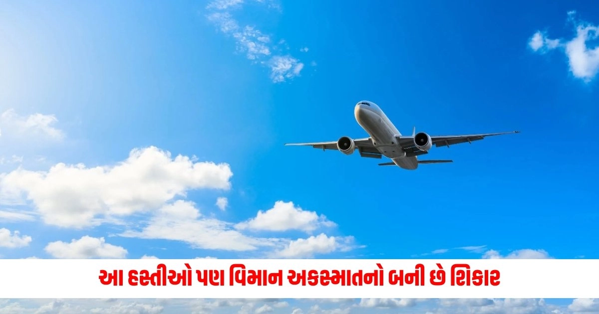 World Leaders Died in Plane Crash: માત્ર ઈરાનના રાષ્ટ્રપતિ જ નહીં, આ હસ્તીઓ પણ વિમાન અકસ્માતનો બની છે શિકાર https://www.pravinews.com/world-news-in-gujarati/chennai-child-survived-woman-blamed-for-falling-committed-suicide-in-coimbatore-heartbreaking-incident-8985