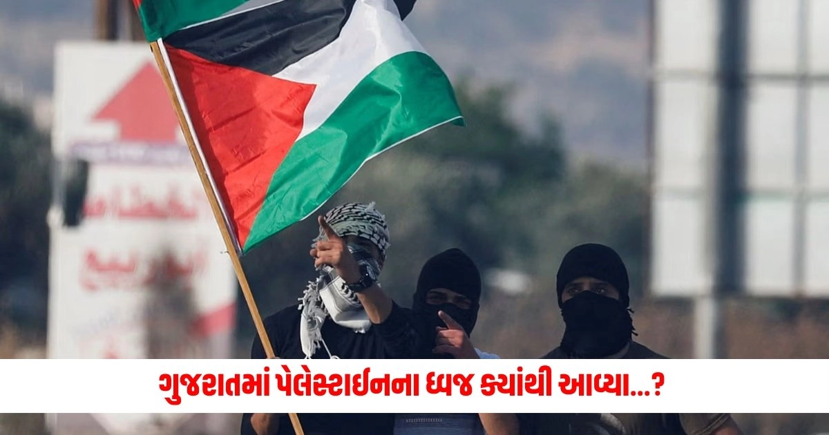 Palestine flag Row: ગુજરાતમાં પેલેસ્ટાઈનના ધ્વજ ક્યાંથી આવ્યા...? પોલીસ તપાસમાં થયો ખુલાસો https://www.pravinews.com/lifestyle/health-fitness/how-to-control-high-uric-acid-wheatgrass-juice-benefits-and-uses-in-gujarati-7917