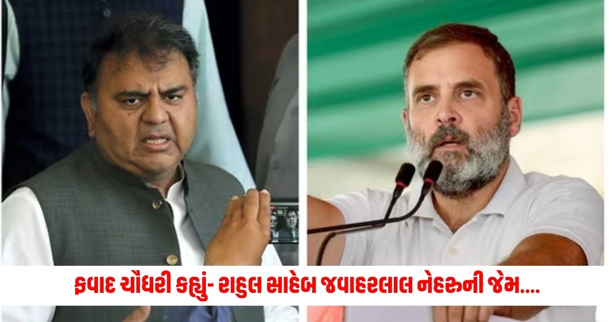 Rahul Gandhi: નથી રોકાઈ રહ્યાં પાકિસ્તાનના પૂર્વ મંત્રી ફવાદ ચૌધરી કહ્યું- રાહુલ સાહેબ જવાહરલાલ નેહરુની જેમ.... https://www.pravinews.com/world-news-in-gujarati/basti-murder-case-first-i-did-a-lot-of-washing-and-then-i-got-a-horrible-death-6295