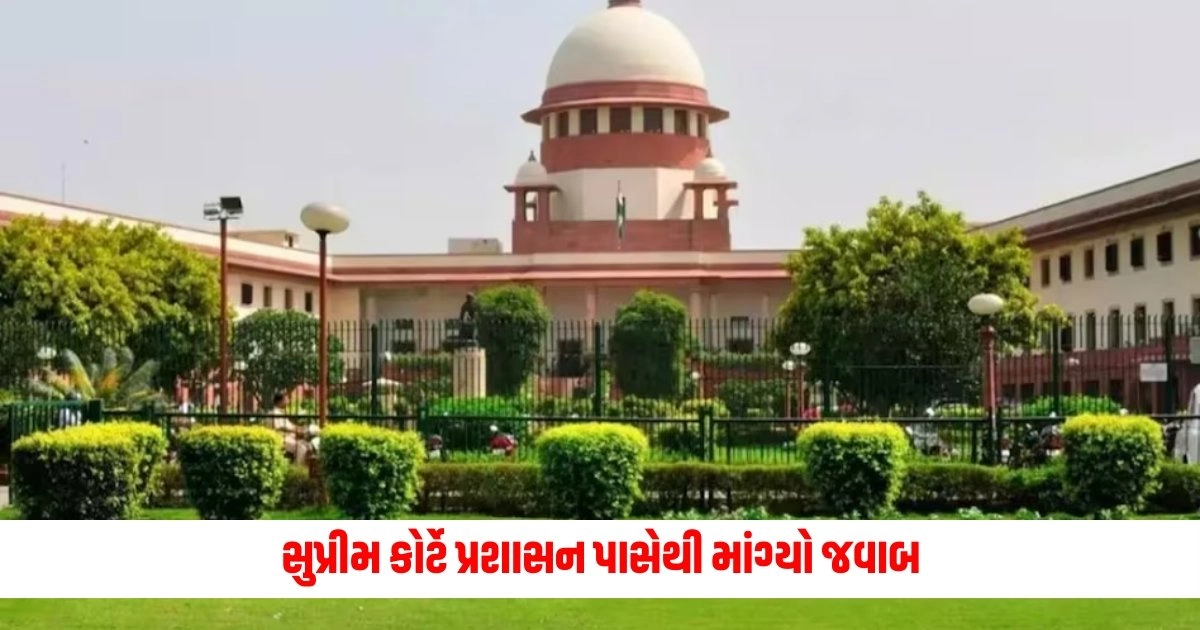 Supreme Court: સુપ્રીમ કોર્ટે ચંદીગઢ-મોહાલી રોડ પરથી દેખાવકારોને હટાવવા પર મુક્યો પ્રતિબંધ, પ્રશાસન પાસેથી માંગ્યો જવાબ https://www.pravinews.com/gujarat-news/gujarat-family-poisoned-like-this-in-vadodara-son-is-fighting-a-life-and-death-battle-6324