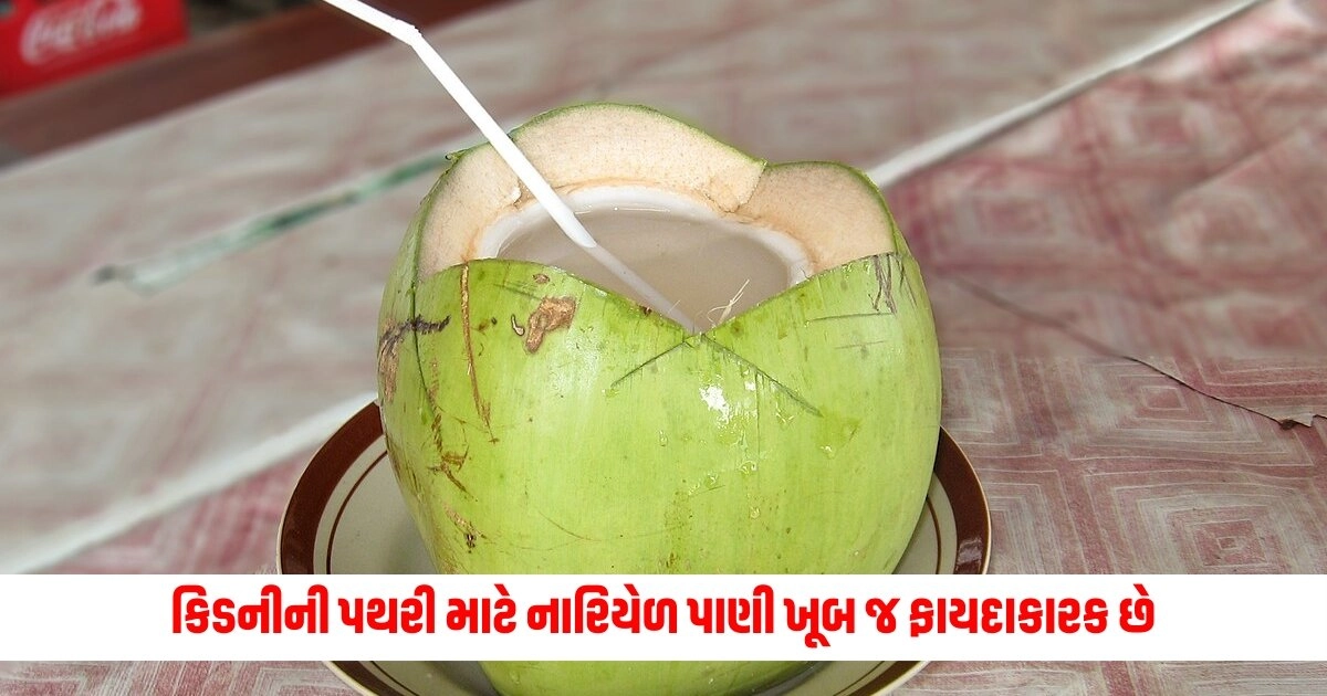 Coconut Water : કિડનીની પથરી માટે નારિયેળ પાણી ખૂબ જ ફાયદાકારક છે, તેને રોજ પીવાથી મળે છે આ ફાયદા. https://www.pravinews.com/gujarat-news/rajkot-trp-game-zone-fire-rajaya-sabha-mp-ram-mokariya-accused-rmc-fire-department-taking-bribe-for-noc-10060