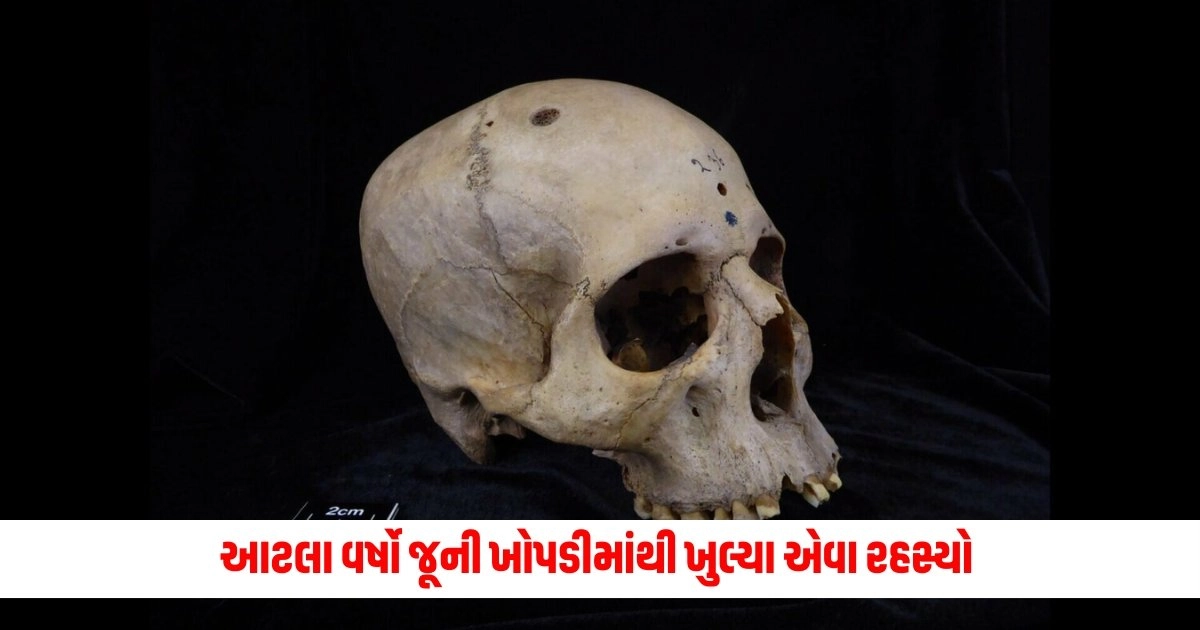 Ajab Gajab : આટલા વર્ષો જૂની ખોપડીમાંથી ખુલ્યા એવા રહસ્યો કે ચોંકી ગયા વૈજ્ઞાનિકો, સદીઓ પહેલા પણ થતું હતું આવું કામ https://www.pravinews.com/ajab-gajab/scientist-shocked-after-found-evidence-of-ancient-egyptians-tried-to-treat-brain-cancer-more-than-4000-years-ago-9993