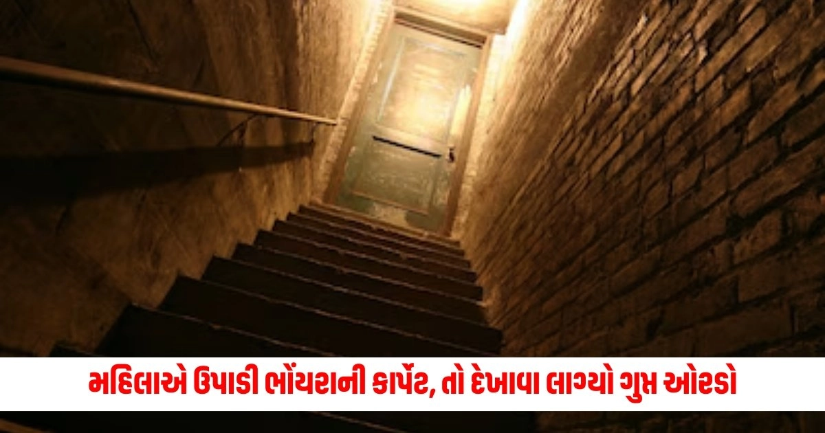 Bizarre News : મહિલાએ ઉપાડી ભોંયરાની કાર્પેટ, તો દેખાવા લાગ્યો ગુપ્ત ઓરડો, હાલત જોઈને લોકોએ કહ્યું- 'તત્કાલ ઘરથી ભાગી જાઓ' https://www.pravinews.com/entertainment/south-indian-actors-flop-in-bollywood-ramcharan-prithviraj-sukumaran-surya-vijay-devarkonda-prabhas-9738