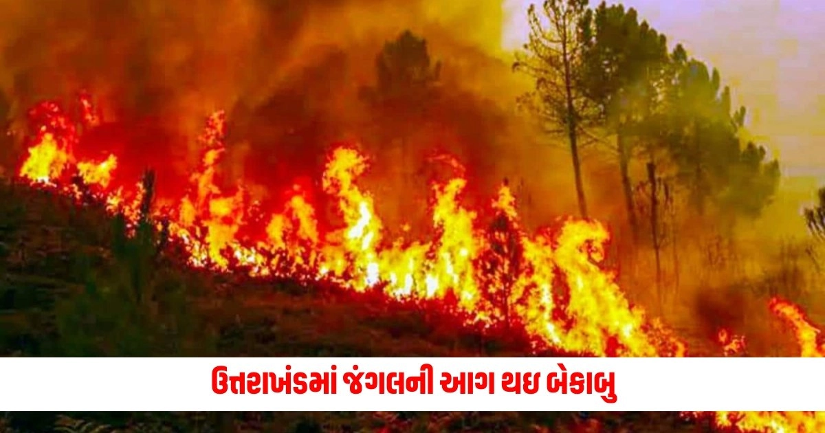 Uttarakhand Forest Fire: ઉત્તરાખંડમાં જંગલની આગ થઇ બેકાબુ, આજે મુખ્યમંત્રી કરશે સમીક્ષા બેઠક https://www.pravinews.com/business/mukesh-ambani-mukesh-ambanis-company-suffered-a-loss-of-43-thousand-crores-this-is-the-biggest-reason-6219