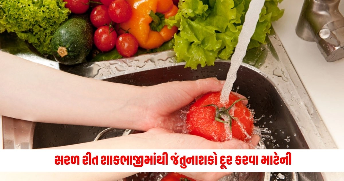 Vegetables: મળી સરળ રીત શાકભાજીમાંથી જંતુનાશકો દૂર કરવા માટેની, ફોલો કરો આ ટિપ્સ https://www.pravinews.com/food