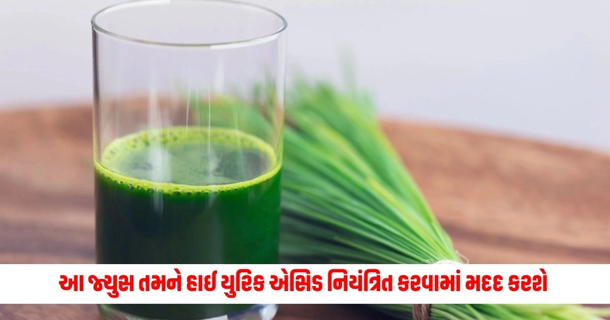 Wheatgrass Juice Benefits: આ ઘાસનું જ્યુસ કરશે તમને હાઈ યુરિક એસિડ નિયંત્રિત કરવામાં મદદ, જાણો તેને કેવી રીતે પીવો https://www.pravinews.com/business/petrol-diesel-price-today-13-may-2024-monday-check-latest-fuel-price-in-your-cities-7912