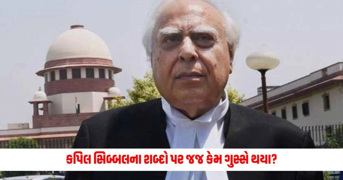 Supreme Court : 'રજા માં પણ અડધી રાતે તમે પરસેવો પાડો છો...' કપિલ સિબ્બલના શબ્દો પર સુપ્રીમ કોર્ટના જજ કેમ ગુસ્સે થયા? https://www.pravinews.com/travel-news/travel-these-places-in-punjab-look-beautiful-do-not-miss-visiting-them-9271