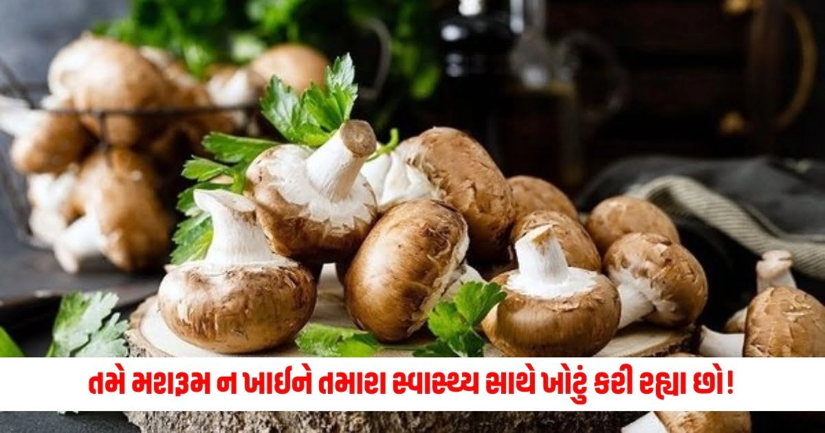 Benefits Of Mushroom : તમે મશરૂમ ન ખાઈને તમારા સ્વાસ્થ્ય સાથે ખોટું કરી રહ્યા છો! આજે જ તેને તમારા આહારમાં સામેલ કરો https://www.pravinews.com/gujarat-news/gujarat-ats-arrests-isis-terrorists-dgp-vikash-sahay-says-they-want-commit-terror-attack-in-india-9008