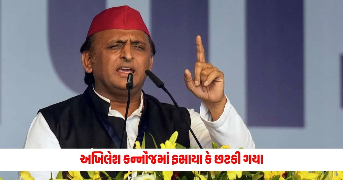 Lok Sabha Elections 2024 : અખિલેશ કન્નૌજમાં ફસાયા કે છટકી ગયા, જાણો વોટિંગ ડેટા શું દર્શાવે છે https://www.pravinews.com/technology/mobile-users-may-have-to-pay-25-percent-more-for-plans-after-general-elections-8129