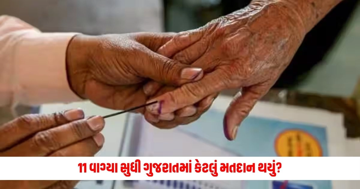 Lok Sabha Election : જાણો 11 વાગ્યા સુધી ગુજરાતમાં કઈ બેઠક પર કેટલું મતદાન થયું? https://www.pravinews.com/elections/lok-sabha-election-2024/lok-sabha-election-by-11-am-the-total-voting-in-the-state-reached-25-41-know-where-and-how-much-voting-took-place-6843