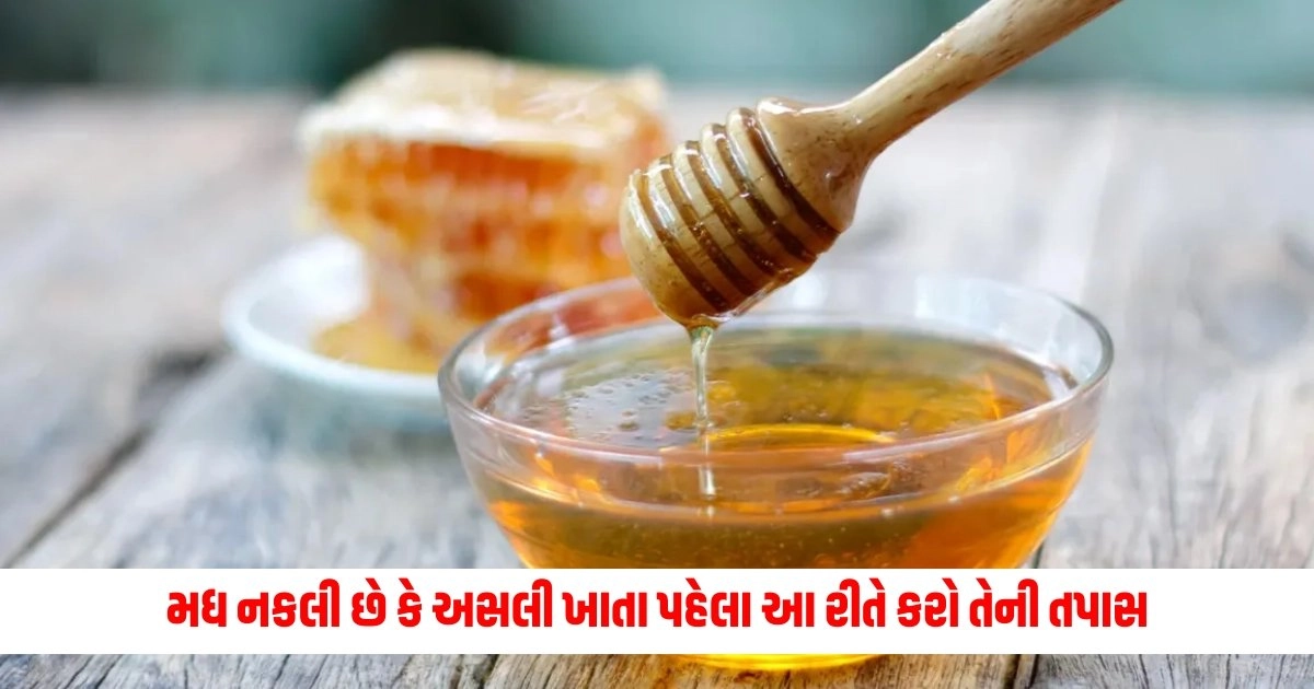 Honey Test: મધ નકલી છે કે અસલી ખાતા પહેલા આ રીતે કરો તેની તપાસ, જાણો પ્રોસેસ https://www.pravinews.com/international-news/us-shooting-three-killed-in-firing-during-may-day-party-in-alabama-america-8072