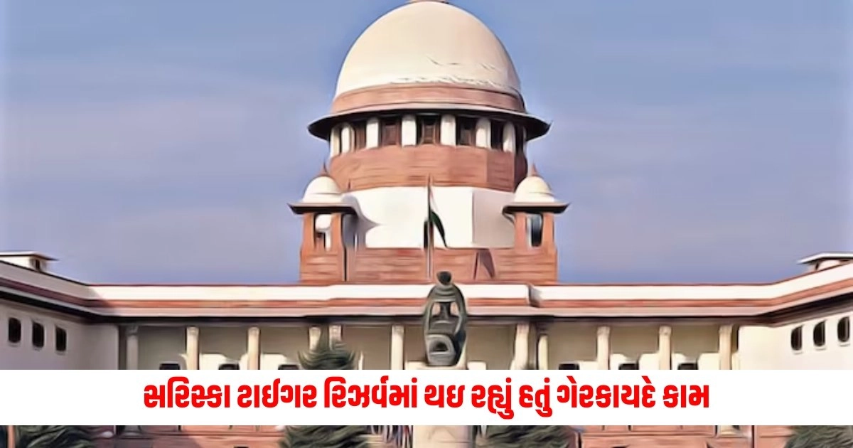 Supreme Court: રાજસ્થાનના સરિસ્કા ટાઈગર રિઝર્વમાં થઇ રહ્યું હતું ગેરકાયદે કામ, સુપ્રીમ કોર્ટે તેના પર લગાવ્યો પ્રતિબંધ https://www.pravinews.com/gujarat-news/gujrat-old-age-couple-get-married-8320