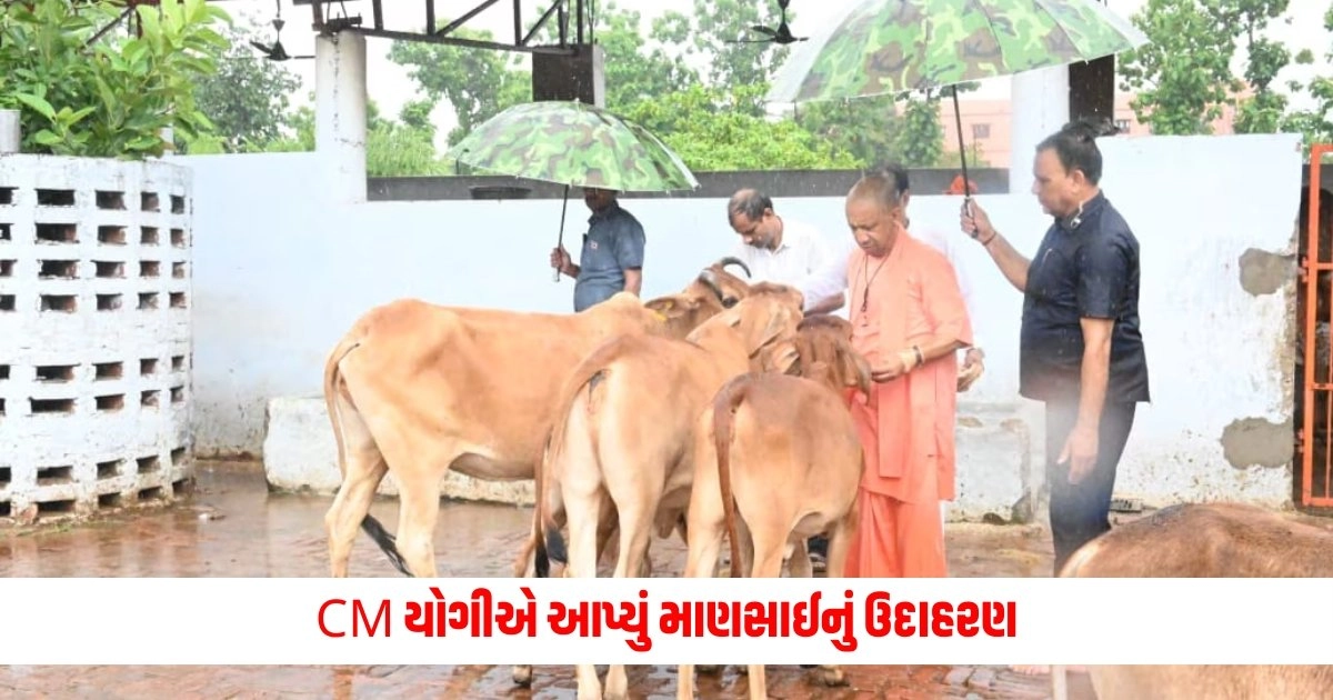 CM Yogi: CM યોગીએ આપ્યું માણસાઈનું ઉદાહરણ, ભારે વરસાદ વચ્ચે પણ કર્યું આવું મહાન કામ https://www.pravinews.com/world-news-in-gujarati/economist-amartya-sen-says-about-india-15866