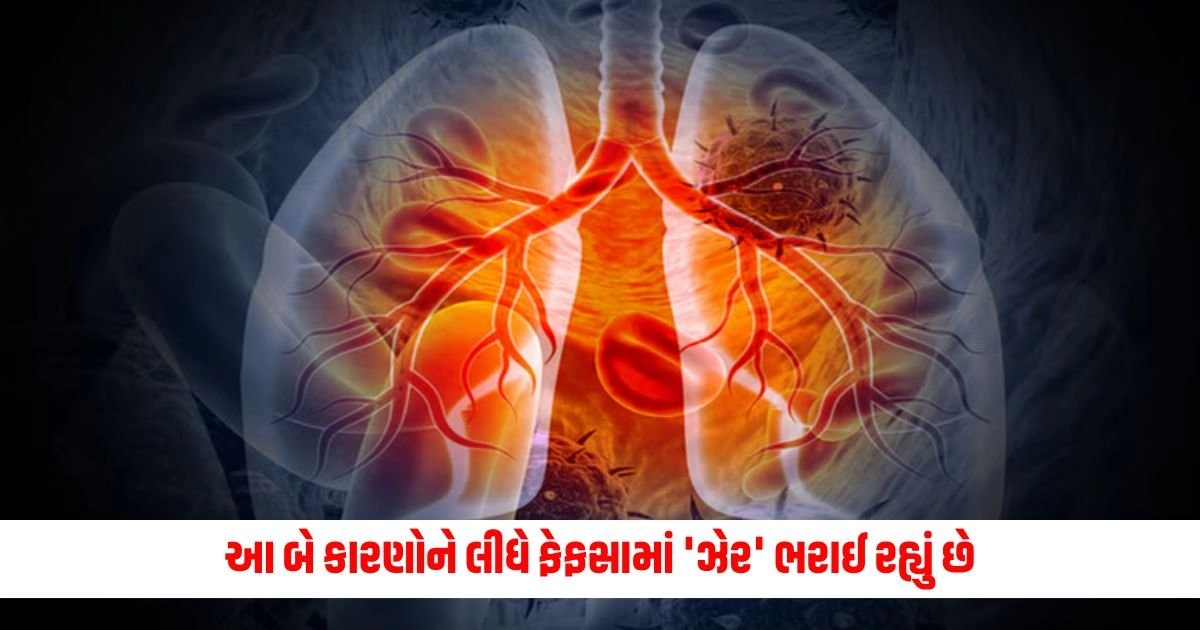 Lungs Problem: આ બે કારણોને લીધે ફેફસામાં 'ઝેર' ભરાઈ રહ્યું છે, શું તમે પણ આ ભૂલો નથી કરી રહ્યા? https://www.pravinews.com/gujarat-news/gujarat-congress-calls-for-rajkot-bandh-to-honor-fire-tragedy-victims-14941