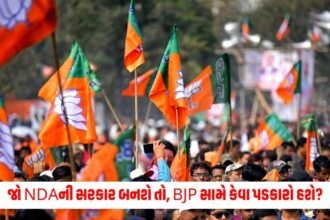 Loksabha Election Result 2024: જો NDAની સરકાર બનશે તો, BJP સામે કેવા પડકારો હશે? https://www.pravinews.com/elections/lok-sabha-election-2024/loksabha-election-2024-grooms-arrive-to-vote-before-getting-married-perform-voting-duty-7009