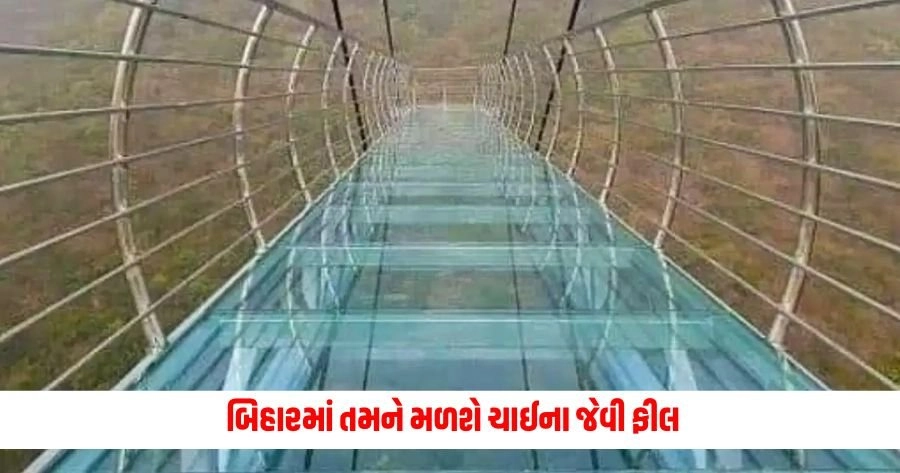 Glass Bridge in Bihar : બિહારમાં તમને મળશે ચાઈના જેવી ફીલ, આ જગ્યાએ બનાવવામાં આવ્યો કાચનો પુલ https://www.pravinews.com/automobile/car-tips-for-rainy-season-how-can-we-drive-safely-in-monsoon-to-prevent-car-slip-12993