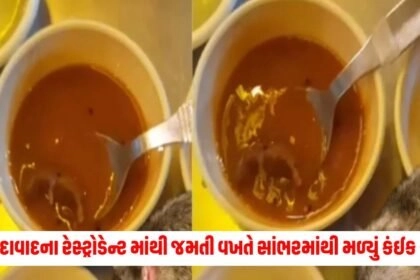 Ahmedabad News: હવે તો હદ થઈ અમદાવાદના રેસ્ટ્રોડેન્ટ માંથી જમતી વખતે સાંભરમાંથી મળ્યું કંઈક આવું,પોલીસે કરી કાર્યવાહી https://www.pravinews.com/tag/ahmedabad-news