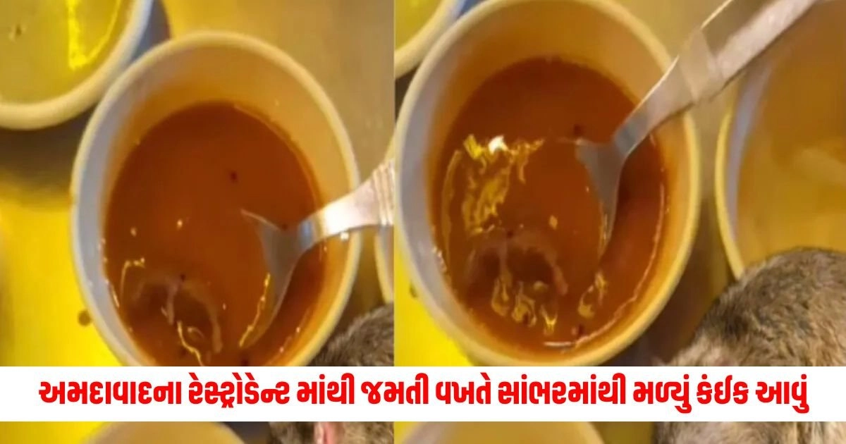 Ahmedabad News: હવે તો હદ થઈ અમદાવાદના રેસ્ટ્રોડેન્ટ માંથી જમતી વખતે સાંભરમાંથી મળ્યું કંઈક આવું,પોલીસે કરી કાર્યવાહી https://www.pravinews.com/gujarat-news/ahmedabad-news