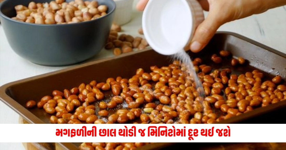 Food News: મગફળીની છાલ થોડી જ મિનિટોમાં દૂર થઈ જશે, ફક્ત આ ટ્રિક્સ અપનાવો https://www.pravinews.com/business/pension-complaints-will-now-be-resolved-at-home-pensioners-will-get-great-relief-16610